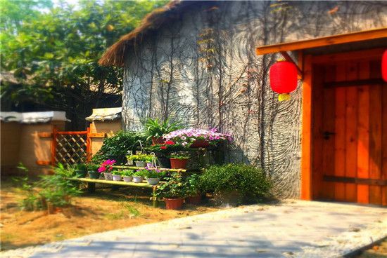 �y������ɽ��Ƶ�|�y���Ƶ��b���OӋ