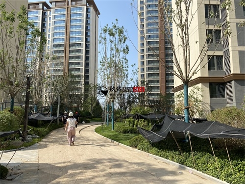 �y���ۘǲ��b���O(sh��)Ӌ(j��)�(xi��ng)Ŀ|�N���b�