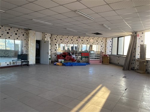 �y����Ӗ�WУ�����OӋ�Ŀ|�N���b�